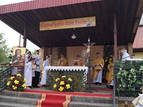 Zdjęcie 24 z 373
