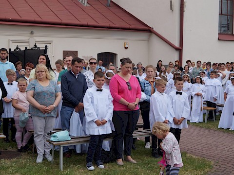 Zdjęcie 27 z 373