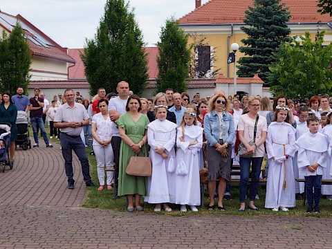 Zdjęcie 29 z 373