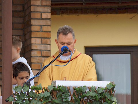 Zdjęcie 31 z 373