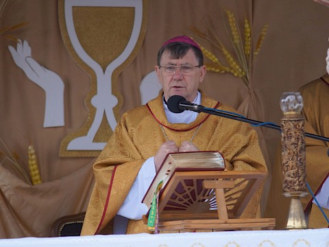 Zdjęcie 36 z 373