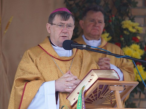 Zdjęcie 39 z 373
