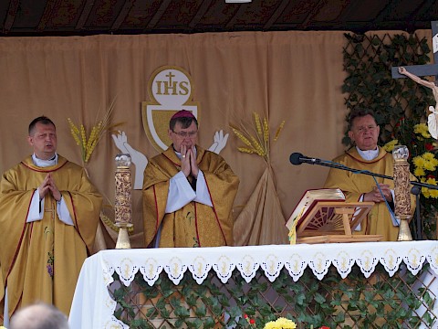 Zdjęcie 43 z 373
