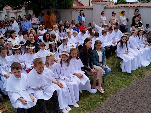 Zdjęcie 75 z 373