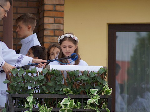 Zdjęcie 96 z 373