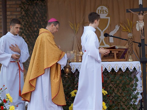 Zdjęcie 113 z 373