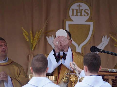 Zdjęcie 115 z 373