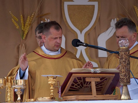 Zdjęcie 117 z 373