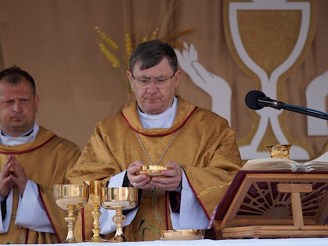 Zdjęcie 120 z 373