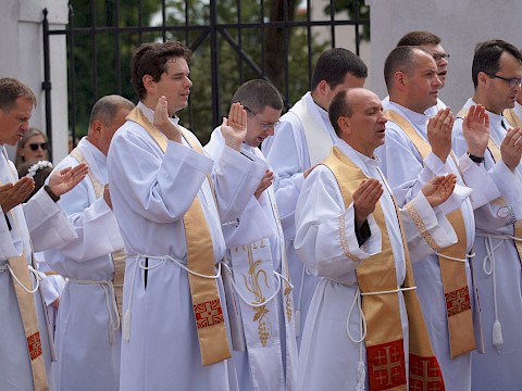 Zdjęcie 124 z 373