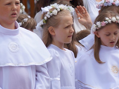 Zdjęcie 127 z 373