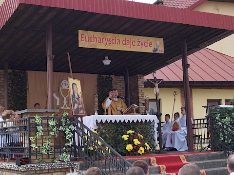 Zdjęcie 139 z 373