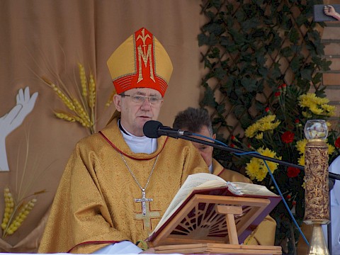 Zdjęcie 144 z 373