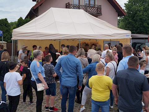 Zdjęcie 174 z 373