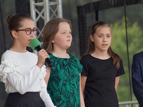 Zdjęcie 195 z 373