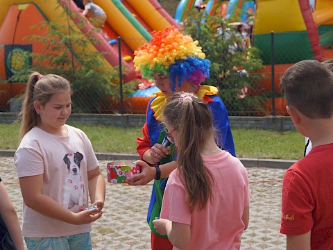 Zdjęcie 225 z 373
