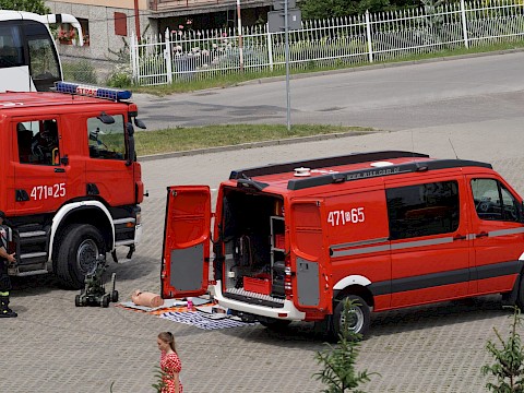 Zdjęcie 226 z 373