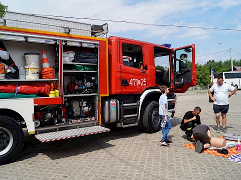 Zdjęcie 252 z 373