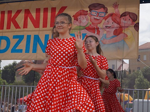 Zdjęcie 254 z 373