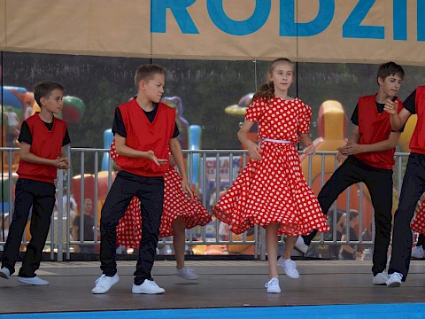 Zdjęcie 259 z 373