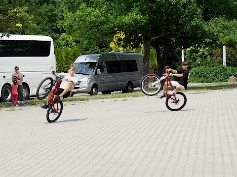 Zdjęcie 291 z 373