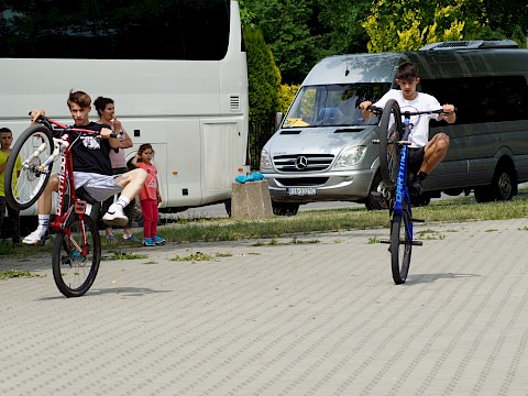 Zdjęcie 293 z 373