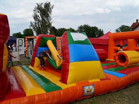 Zdjęcie 345 z 373