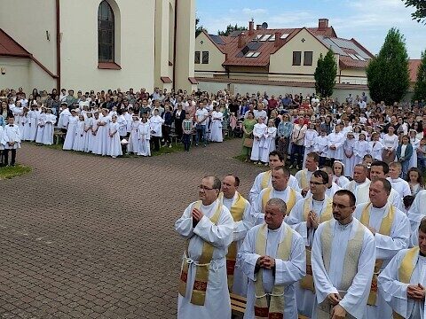Zdjęcie 1 z 1