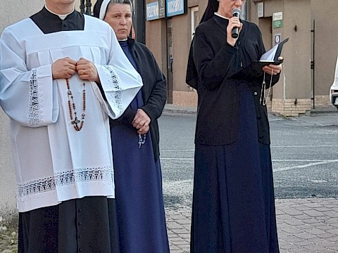 Zdjęcie 9 z 29
