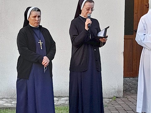 Zdjęcie 11 z 29