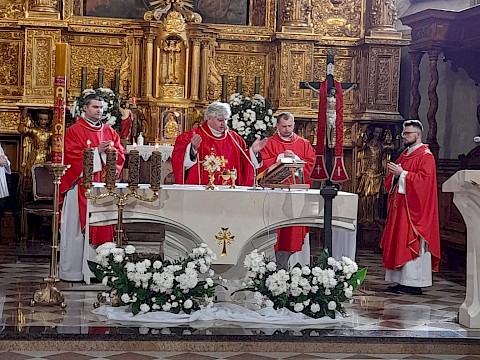 Zdjęcie 7 z 10