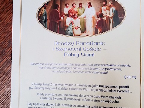 Zdjęcie 55 z 56