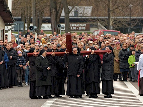 Zdjęcie 38 z 47