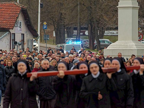 Zdjęcie 36 z 47