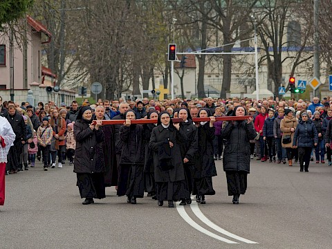 Zdjęcie 34 z 47