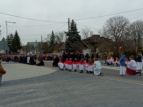 Zdjęcie 33 z 47