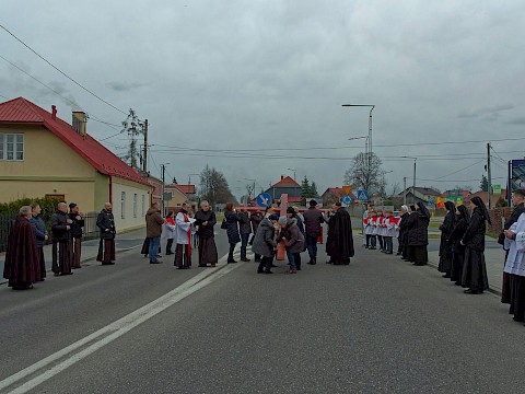 Zdjęcie 31 z 47