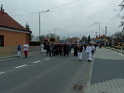 Zdjęcie 29 z 47