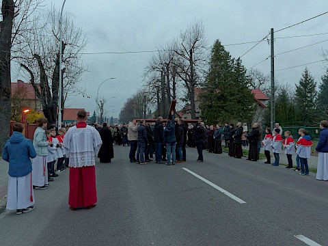 Zdjęcie 26 z 47
