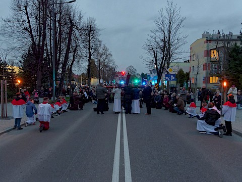 Zdjęcie 17 z 47