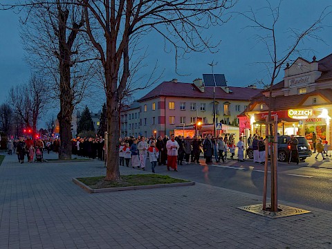 Zdjęcie 14 z 47
