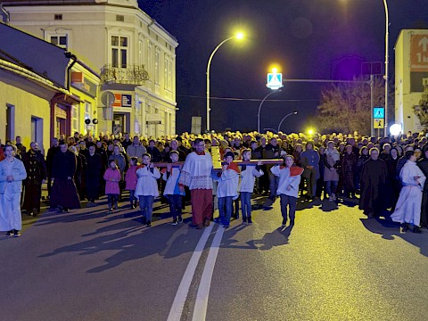 Zdjęcie 4 z 47