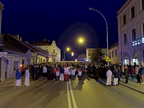 Zdjęcie 3 z 47