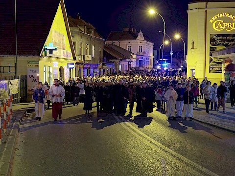 Zdjęcie 2 z 47