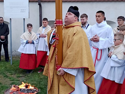 Zdjęcie 16 z 55