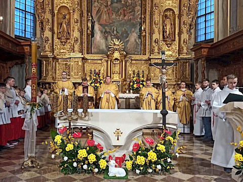 Zdjęcie 20 z 55