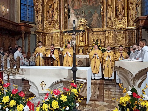 Zdjęcie 28 z 55