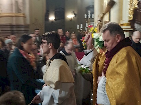 Zdjęcie 41 z 55