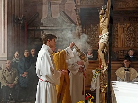 Zdjęcie 47 z 55