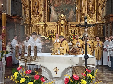 Zdjęcie 49 z 55